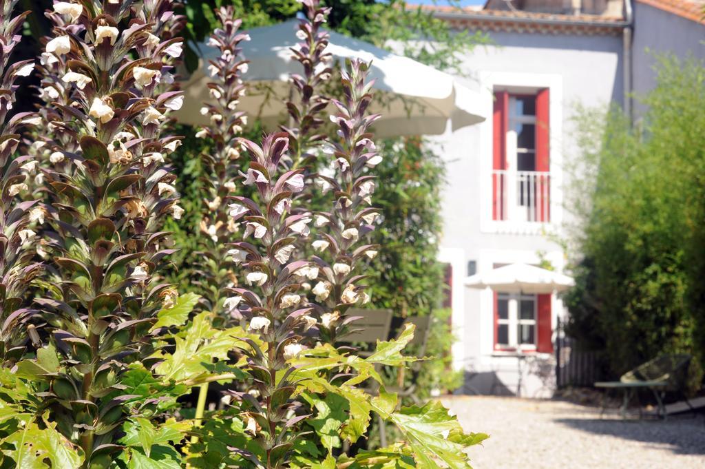 Les Chambres D'Andrea Marseillan  Ngoại thất bức ảnh